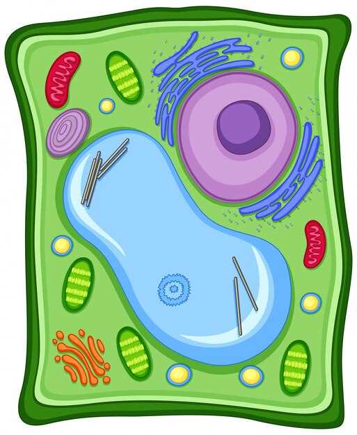 Naproxen stereogenic centers